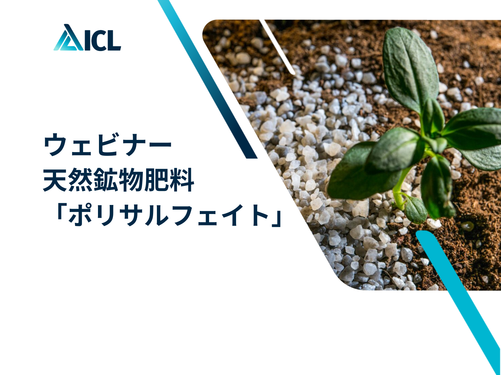 「ポリサルフェイト」「polysulphate」